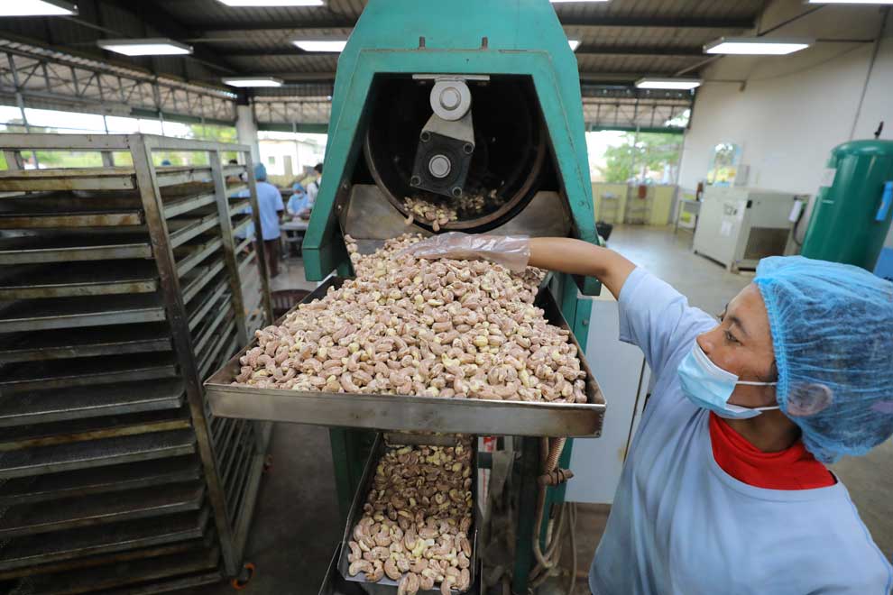 CAC revises ‘24 cashew outlook, cites weather